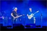 Gilmour 160628 (c) Andreas Mueller 279